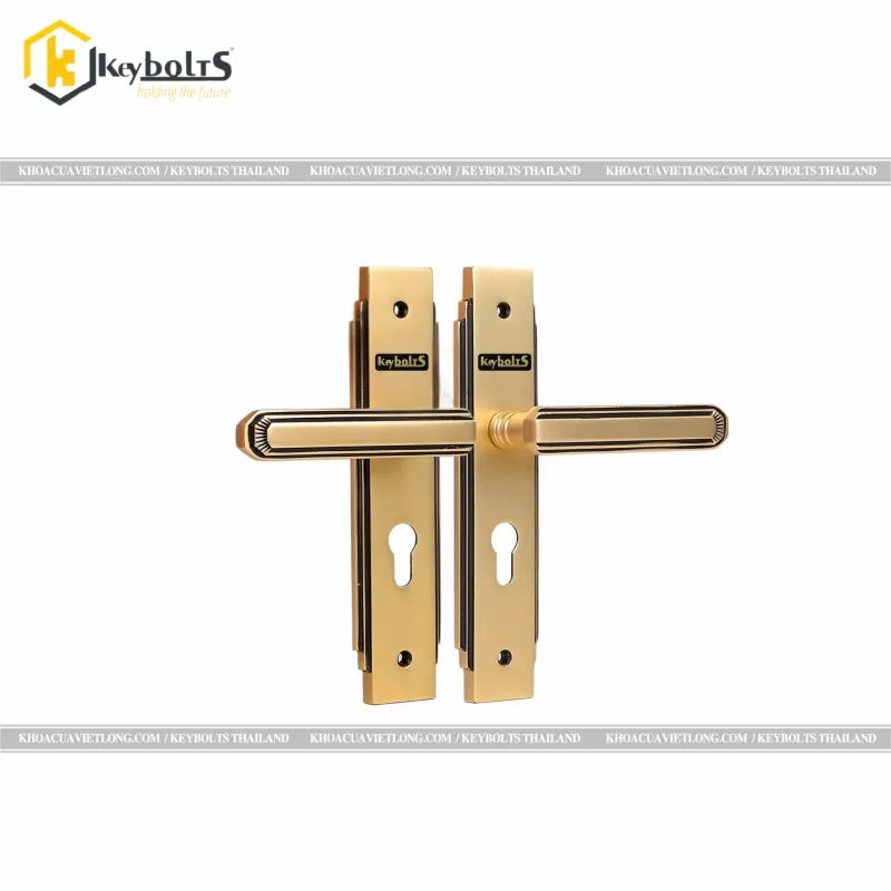 Khóa Đồng Thông Phòng KB 108-S-DSF