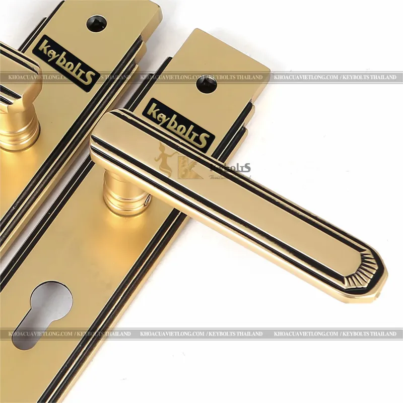 Khóa Đồng Thông Phòng KB 108-S-DSF