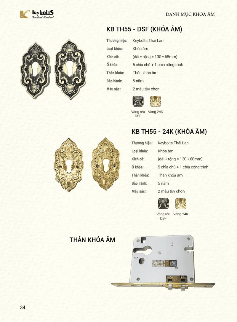 Khóa Cửa Âm Cửa Lùa Đồng Mạ Vàng TH55-DSF