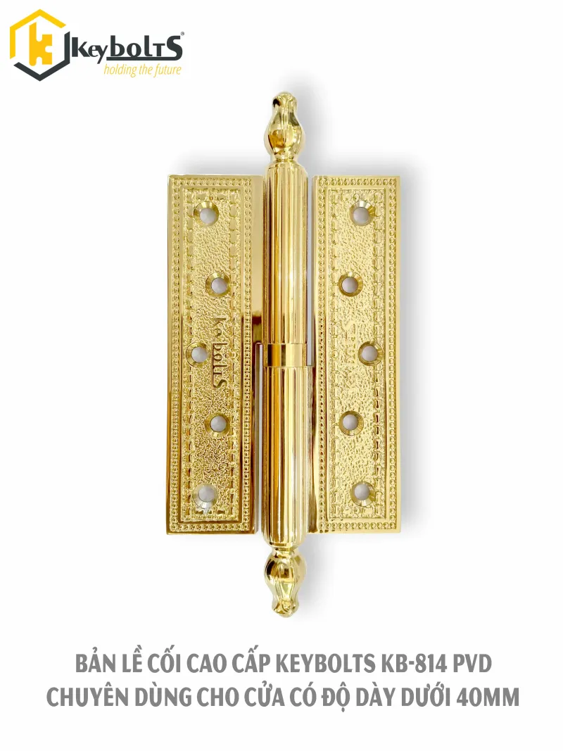 Bản Lề Đồng Cối KB 814 PVD