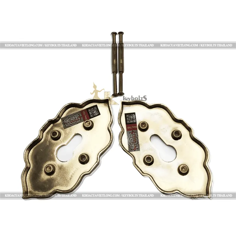 Khóa Cửa Âm Cửa Lùa Đồng Mạ Vàng TH55-DSF