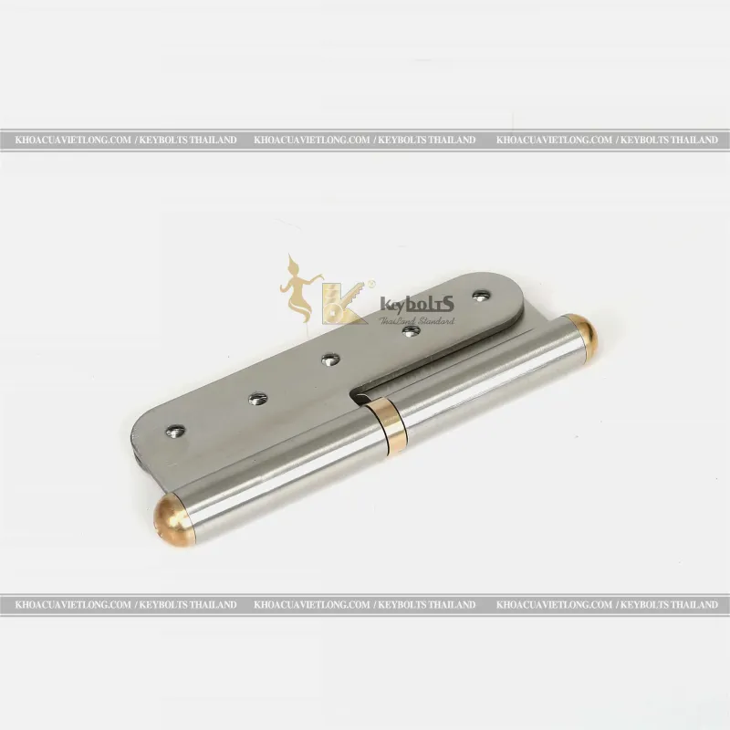 Bản Lề Đầu Đồng Cửa Đi Cỡ Trung KB-SUS 201 S9