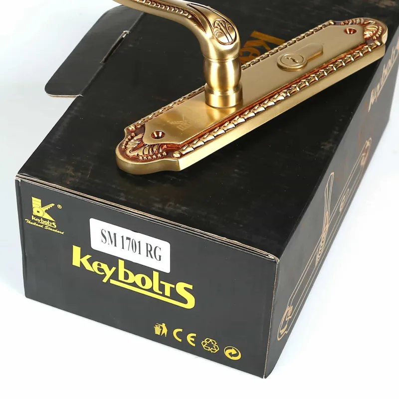 Khóa Đồng Thông Phòng KB 1701-S-RG