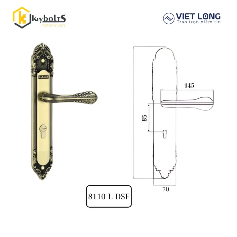 Khóa Đồng Đại KB 8110-L-DSF