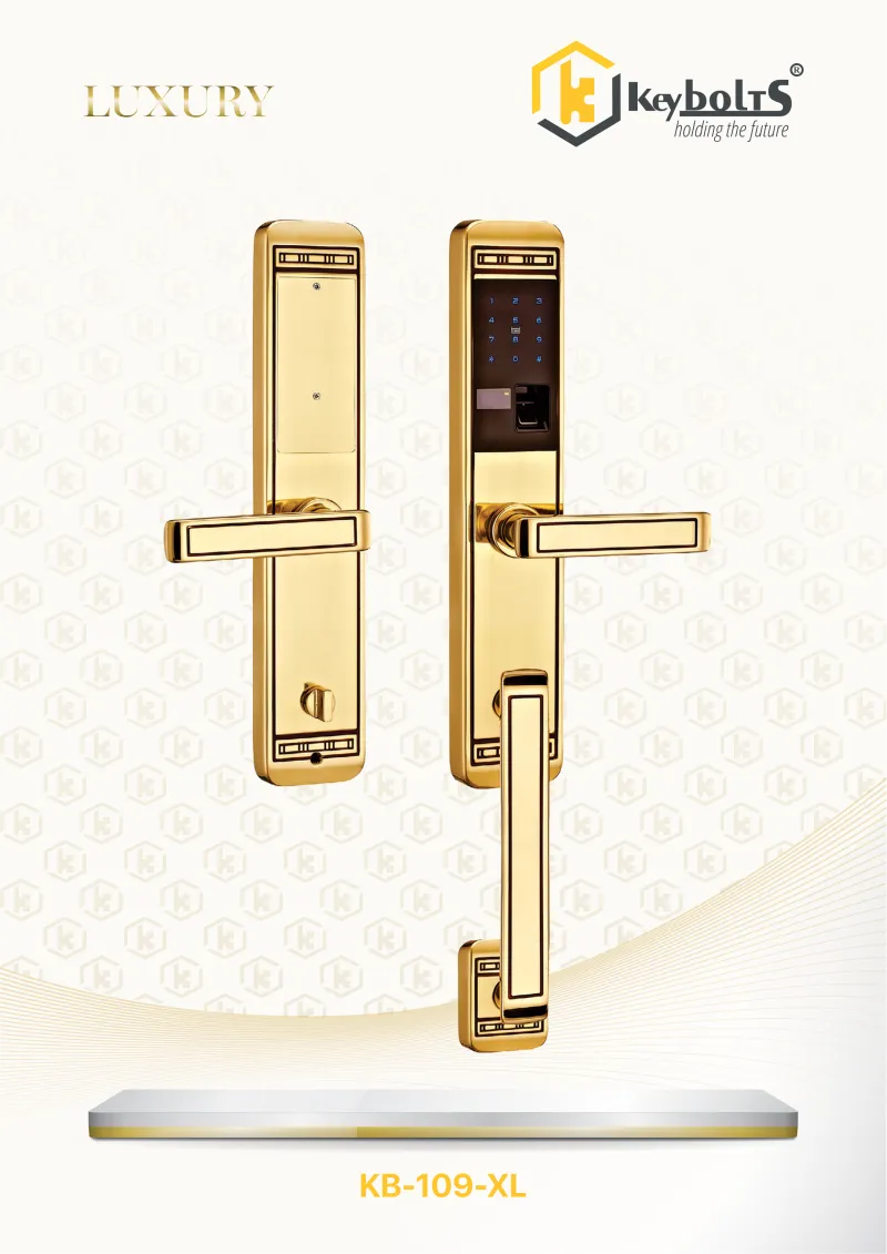 Khóa Biệt Thự KeyBolts 109-LC