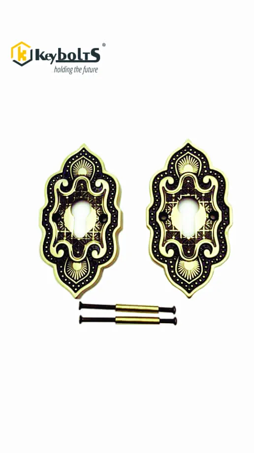 Khóa Cửa Âm Cửa Lùa Đồng Mạ Vàng TH55-DSF