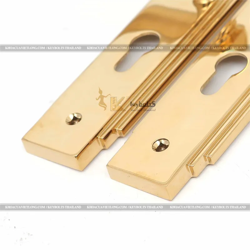Khóa Đồng Thông Phòng KB 108-S-PVD